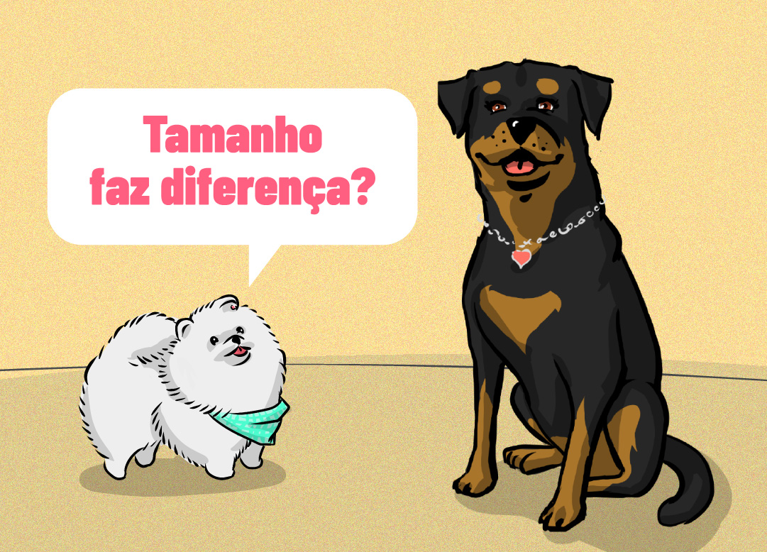 Tamanho define o comportamento do pet?